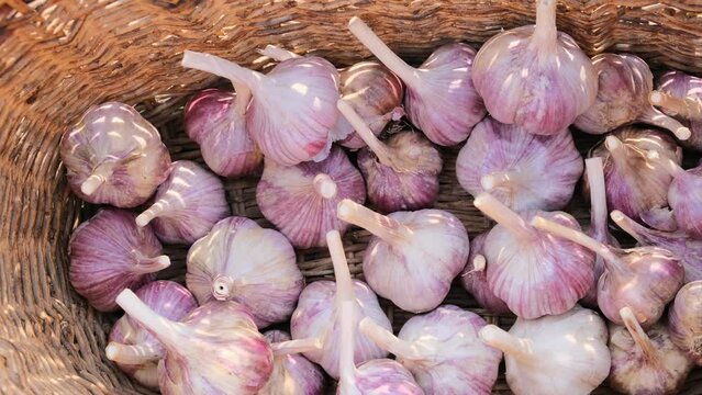 heads of garlic in a wicker basket
