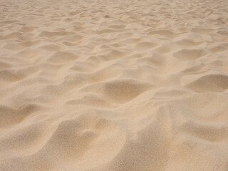 Fototapeta na wymiar Natural texture background of fine clear beach sand and dune