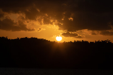 sunset over the forest, potengi river, christmas, Large northern river, Brazil, sunset background	