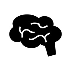 brain icon or logo isolated sign symbol vector illustration - high quality black style vector icons
