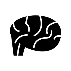 brain icon or logo isolated sign symbol vector illustration - high quality black style vector icons
