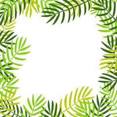 Palm leaves frame