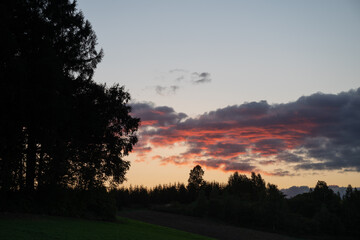 夕暮れの空とカラマツ林　美瑛町
