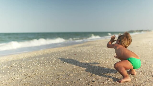 Kid collects shells and pebbles in the sea on a sandy bottom under the summer sun on a vacation