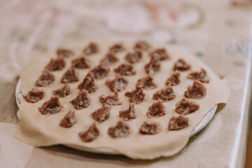 Uncooked homemade pelmeni. Step by step process of making home-made raw ravioli, Meat Dumplings,  tortelli or agnolotti with meat filling dough  using ravioli mold or ravioli maker.  .Traditional Food