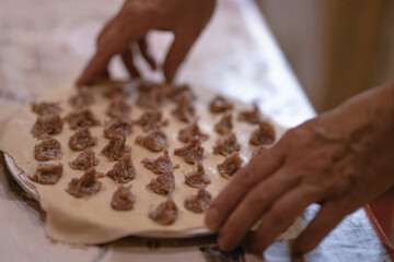 Uncooked homemade pelmeni. Step by step process of making home-made raw ravioli, Meat Dumplings,  tortelli or agnolotti with meat filling dough  using ravioli mold or ravioli maker.  .Traditional Food
