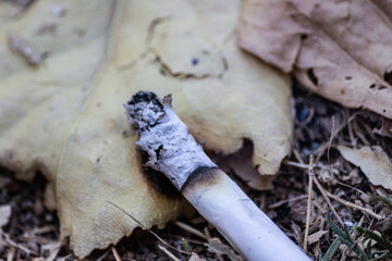 Obraz premium Cigarrete starting a fire