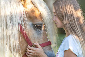 Girls and horses: Close-up of a teenager girl and her haflinger pony in summer outdoors