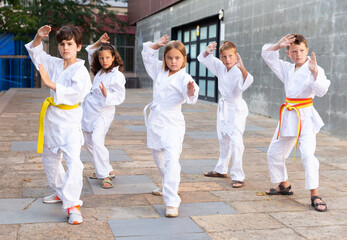 Group of concentrated preteen children learning karate movements during outdoors class in...