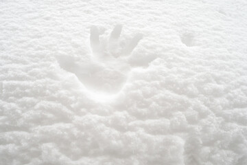 Handprint on snowdrift. Winter, snowfall, bad weather concept