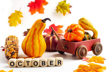 Festive autumn concept. On a white background are colorful autumn leaves, pumpkins, corn and the...
