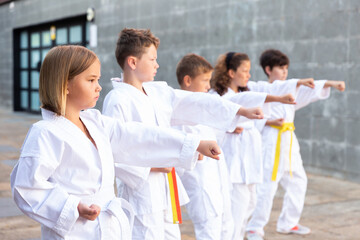 Fototapeta na wymiar Several children are standing in the fighting stance karate