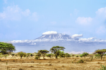 landscape scenery of Mount Kilimanjaro with foreground of savanna grassland view from Amboseli...