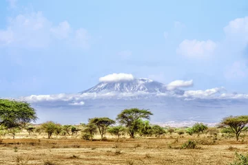 Papier Peint photo autocollant Kilimandjaro landscape scenery of Mount Kilimanjaro with foreground of savanna grassland view from Amboseli National Park Kenya