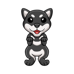 Obraz na płótnie Canvas Cute black shiba inu dog cartoon posing