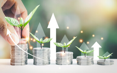 Man hand stacked coins with money saving concept and profit graph business finance in a piggy bank...