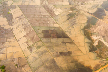 Top view of Rice fields and agricultural land. Sri Lanka.