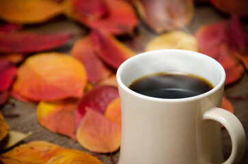 가을과 커피