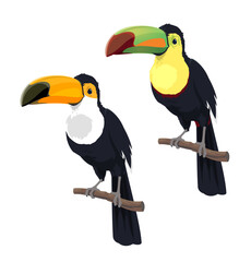 Cartoon isolated mexican toucan birds. Mexico, Costa Rica or South America wild nature fauna, amazonian rainforest toucan bird with long beak, zoo exotic tropical jungle animal