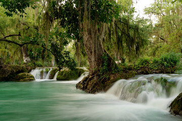 Cascada Tamasopo San Luis Potosí
