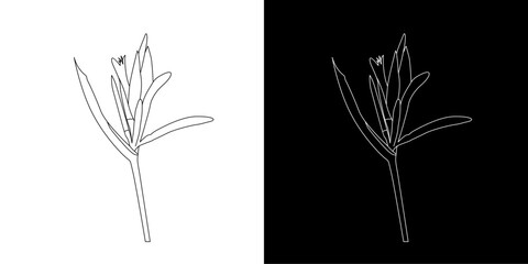 flower line art pictures