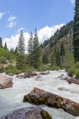 A beautiful stormy mountain river of milky hue flows rapidly among large stones and boulders near the mountains and the blue sky. The mountain river fascinates and attracts attention. 