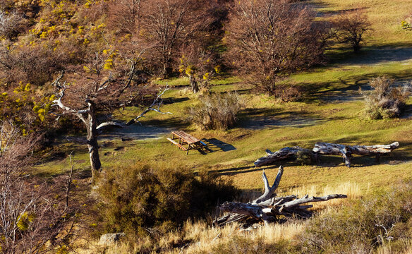 mesa de picnic, acampar entre arboles de un parque nacional, reserva nacional, espacio para acampar, &aacute;rboles sin hojas, c&eacute;sped 