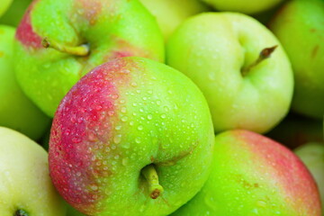 large ripe red green apple close up with drop of water on an apple fruit background