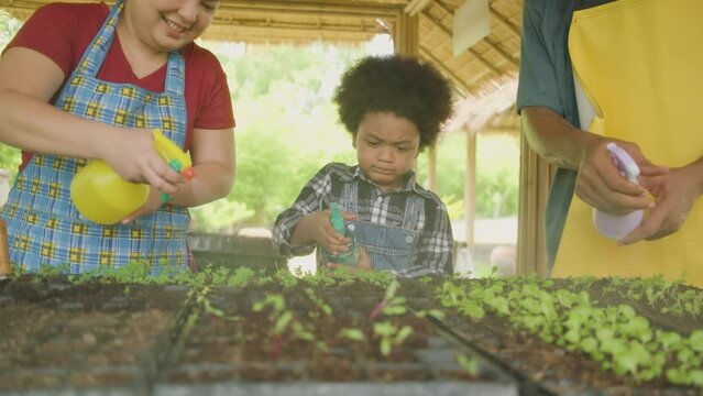 Happy African American farmer family with half-caste boy fun spray water seedling in nursery plot with gardening foggy, organic vegetable cultivated, green nature agriculture in ecology countryside.