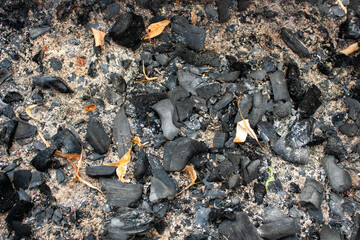 burnt coals after a picnic, texture background