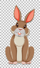 Cute rabbit on grid background