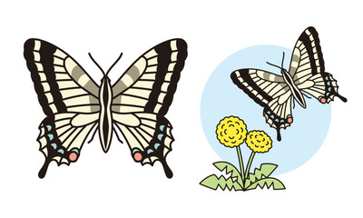 アゲハ蝶とタンポポのイラスト素材。