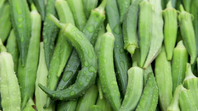 High angle view of ladyfinger fresh vegetable