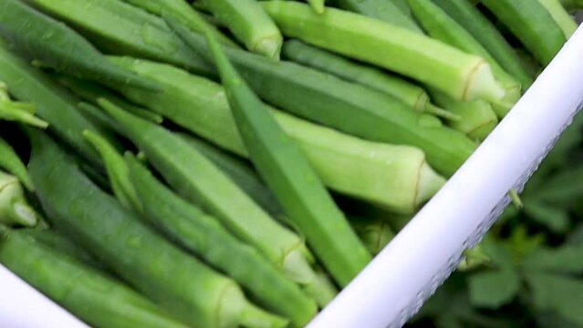 Ladyfinger vegetable in a basket