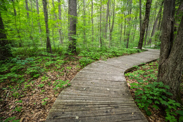 Obraz premium Oka National Park Quebec Canada