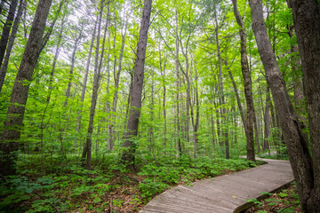 Obraz premium Oka National Park Quebec Canada