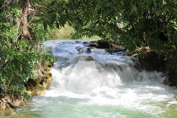 waterfall in the forest