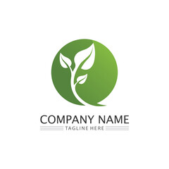 Tree leaf vector and green logo design friendly concept