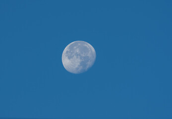 Naklejka na ściany i meble Waning gibbous moon stting against a blue morning sky.