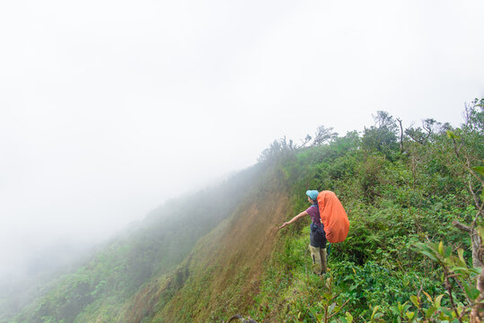 Tourists close to the top of the mountain are happy in the midst of the forest and the sea of ​​mist.