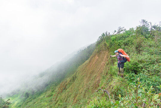 Tourists close to the top of the mountain are happy in the midst of the forest and the sea of ​​mist.