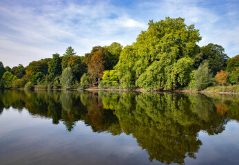 Fototapeta premium View of lake and trees in Romberpark Dortmund Germany