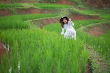 Asian beautiful woman with terraced green rice fields at Ban pa pong piang rice terraces of Chiang Mai, Thailand