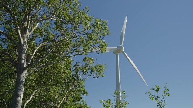 Wind turbine between trees in summer