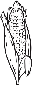 recommend clip art: Corn ear cartoon icon. Harvest food outline comic style image. Agriculture corning field corncob ear farm. Hand drawn isolated lineart illustration for prints, designs, cards