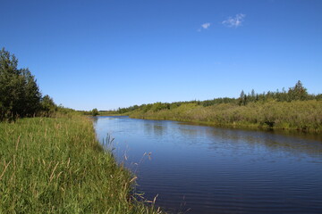 Fototapeta na wymiar Summer On The Lake, Pylypow Wetlands, Edmonton, Alberta
