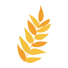 Cute autumn leaf isolated on white background