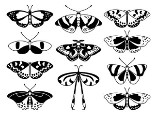 Butterfly set. Vector illustration of black and white butterflies