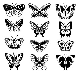 Fototapeta na wymiar Collection of beautiful butterfly insects. Vector illustrations for tattoo, design, décor