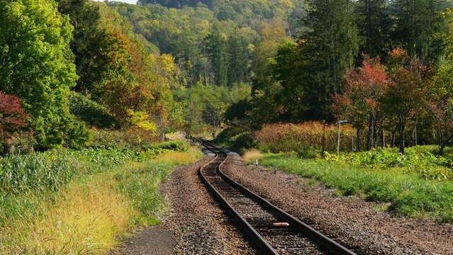 比羅夫駅から見る秋の鉄道風景、車が線路を横切る